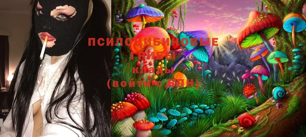 стафф Абаза